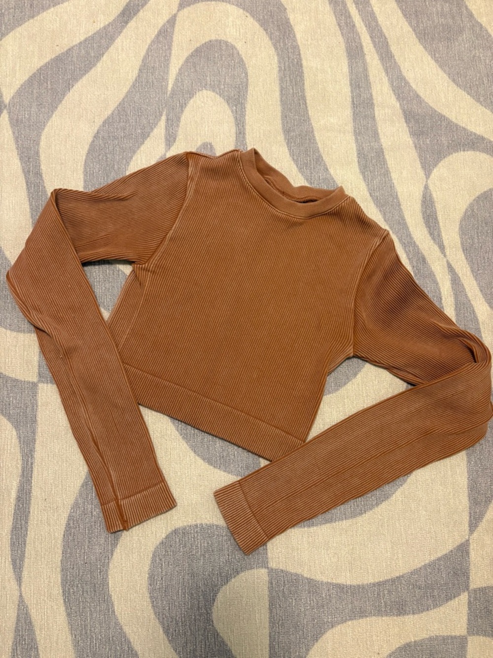 Ribbed Long Sleeve Cropped Top